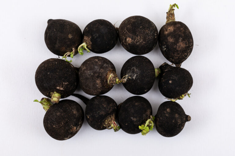 Maca negra peruana: propiedades, beneficios y cómo tomarla 1 maca negra peruana propiedades y beneficios